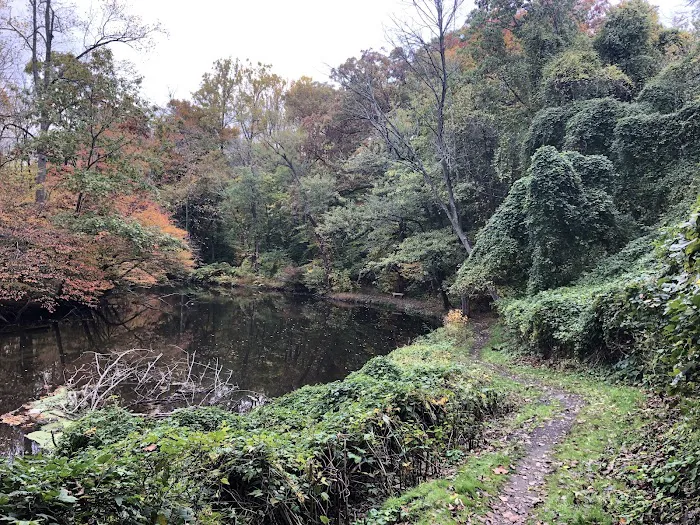Passaic River Park Picture 4