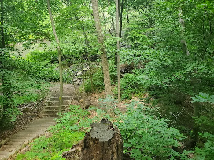 Passaic River Park Picture 10