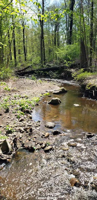 Passaic River Park Picture 5