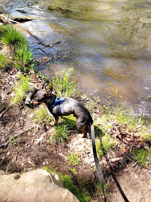 Passaic River Park Picture 8