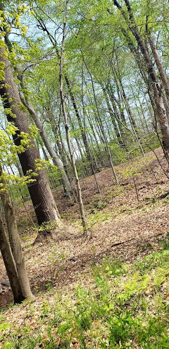 Passaic River Park Picture 6