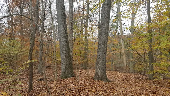 Oakwood Park Picture 2