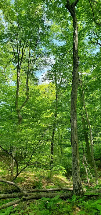 Oakwood Park Picture 4