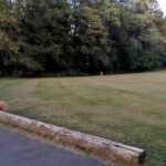 Grove Terrace Park