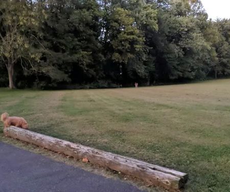 Grove Terrace Park