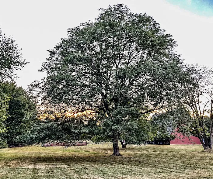 Slayton Field Picture 8