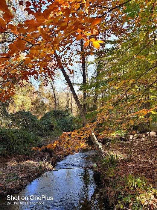 Loantaka Park Picture 9