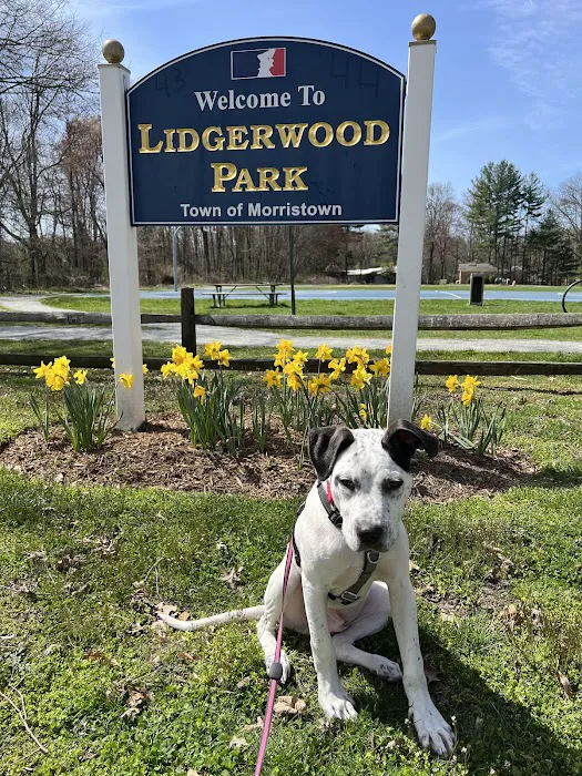 Lidgerwood Park Picture 10
