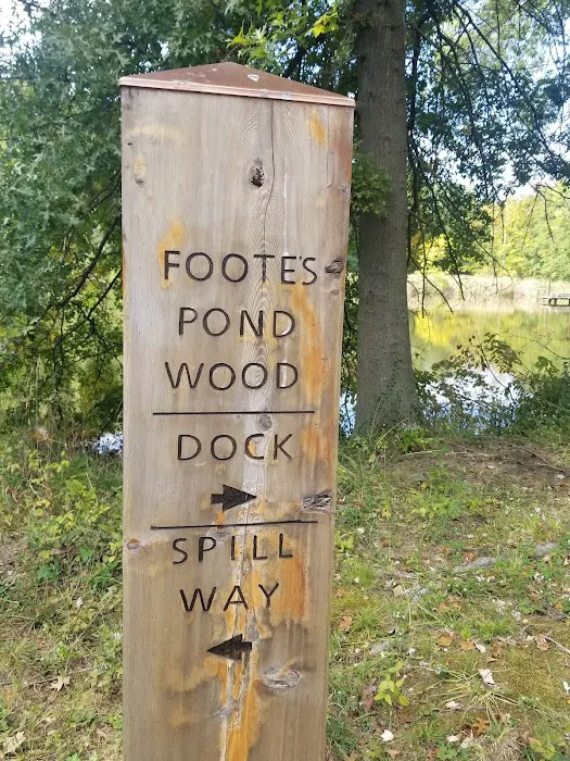 Foote's Pond Park Picture 8