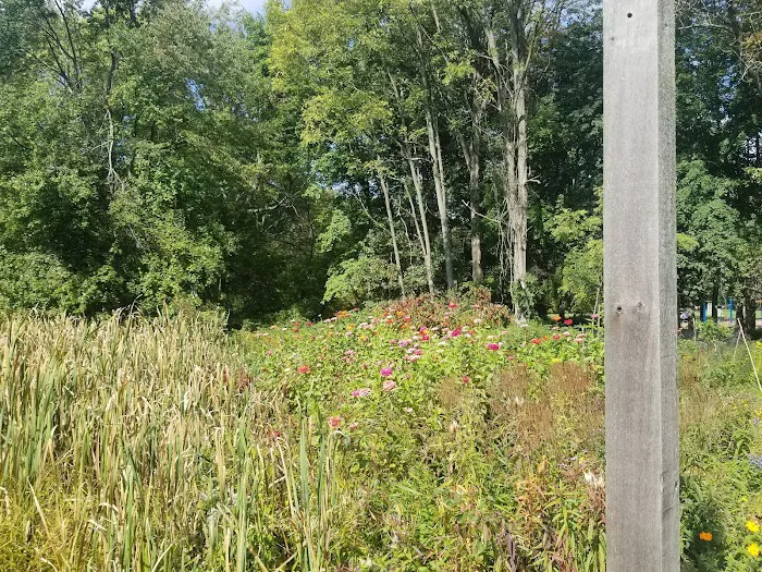 Foote's Pond Park Picture 10