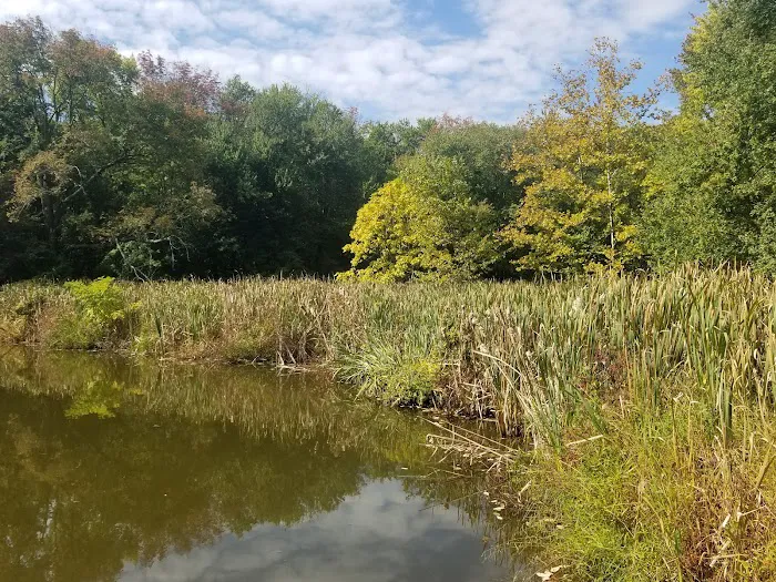 Foote's Pond Park Picture 9