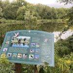 Foote's Pond Park
