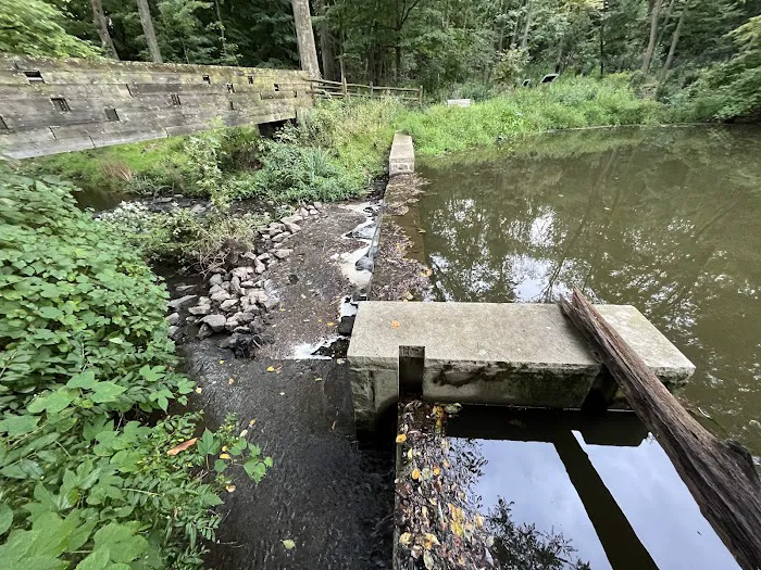 Foote's Pond Park Picture 5