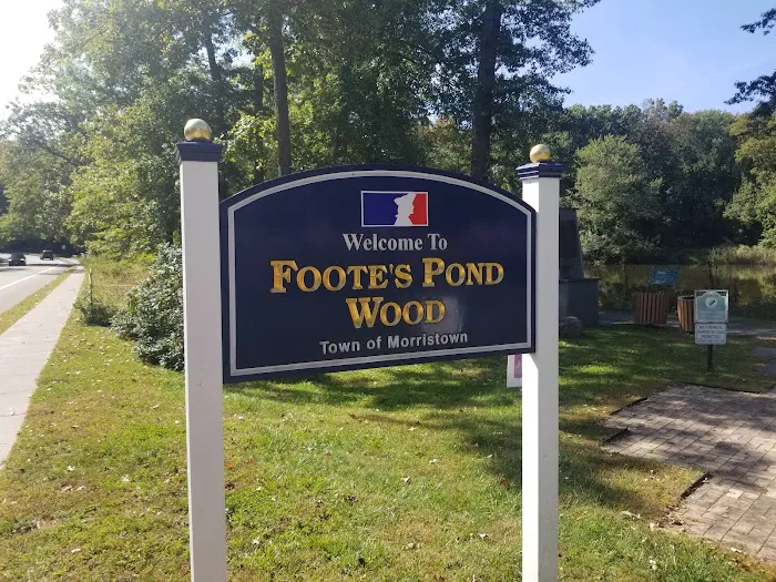 Foote's Pond Park Picture 7