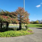 Loantaka Trail Access
