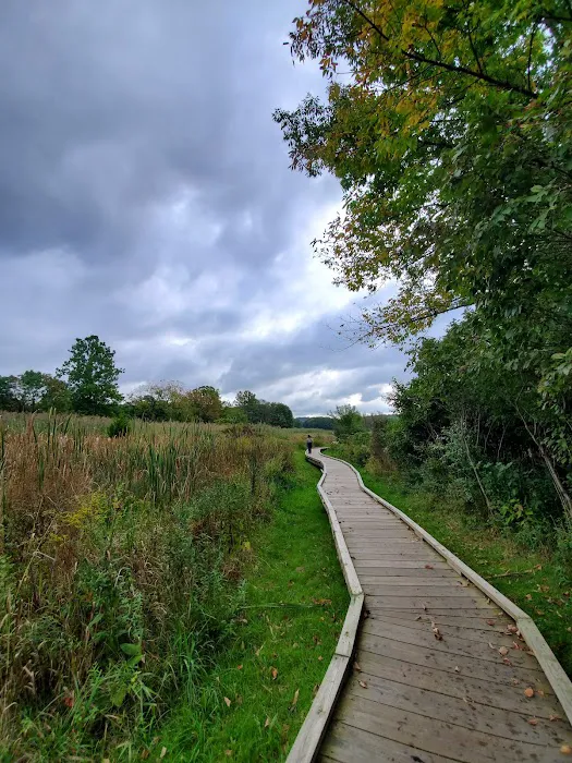 Appalachian Trail Boardwalk Picture 4