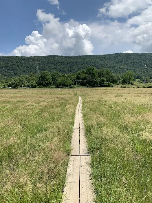 Appalachian Trail Boardwalk Picture 5