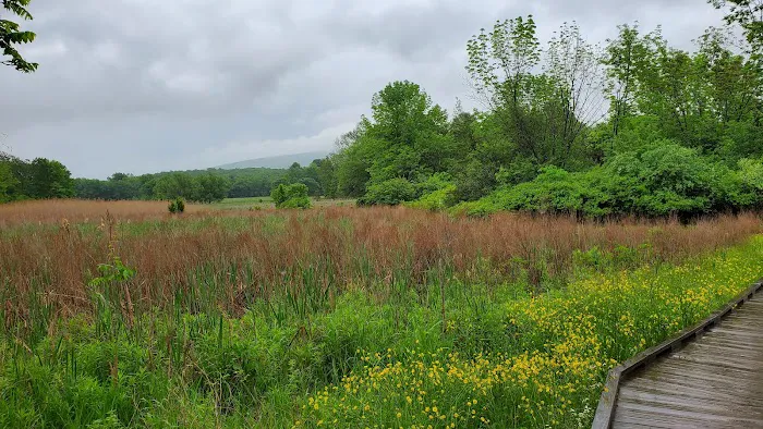 Appalachian Trail Boardwalk Picture 8