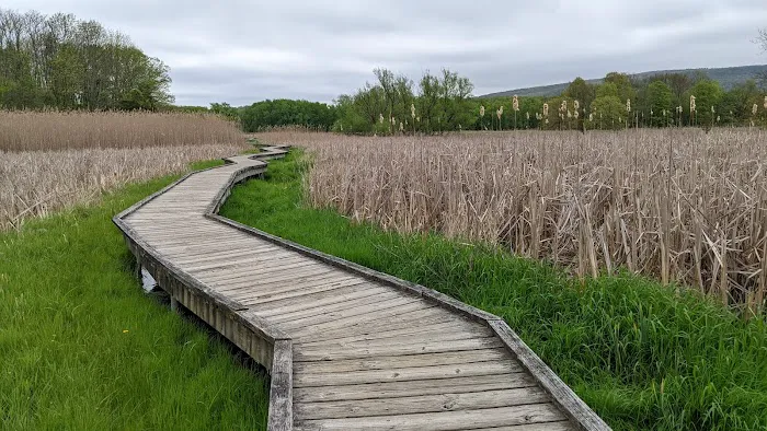 Appalachian Trail Boardwalk Picture 3