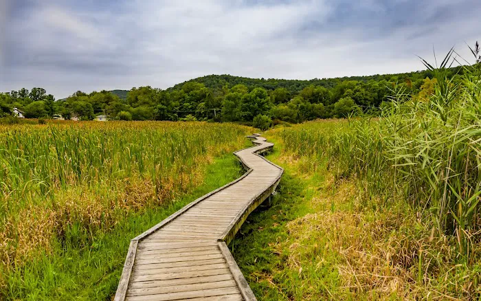 Appalachian Trail Boardwalk Picture 1
