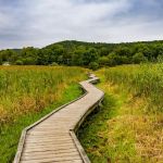 Appalachian Trail Boardwalk