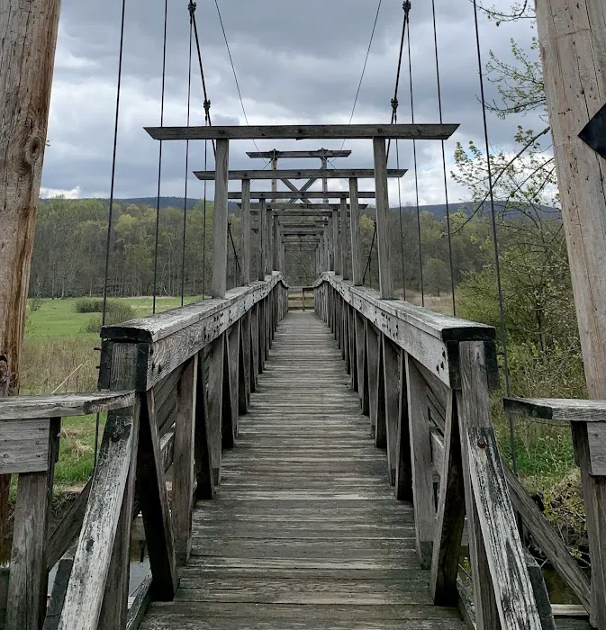 Appalachian Trail Boardwalk Picture 10