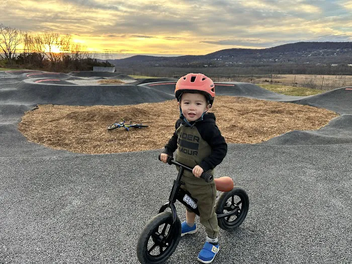 Vernon Town Center Park & Pump Track Picture 2