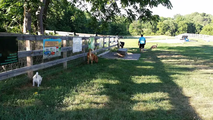 Vernon Dog Park Picture 6