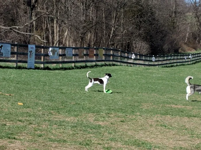 Vernon Dog Park Picture 7