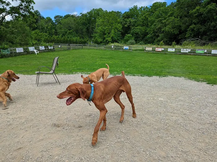 Vernon Dog Park Picture 1