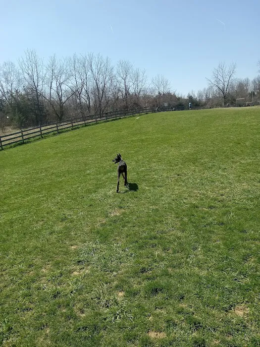 Vernon Dog Park Picture 4