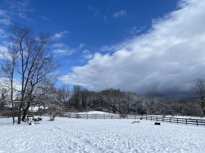 Vernon Dog Park Picture 2