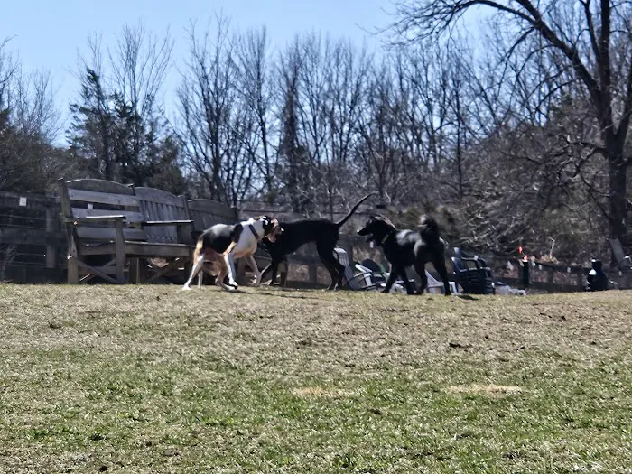 Vernon Dog Park Picture 10