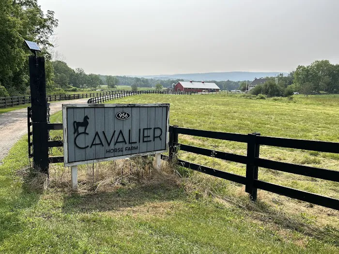 APPALACHIAN ANIMAL EXPERIENCE LLC Picture 2