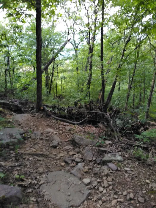 Mountain Creek trail Picture 7