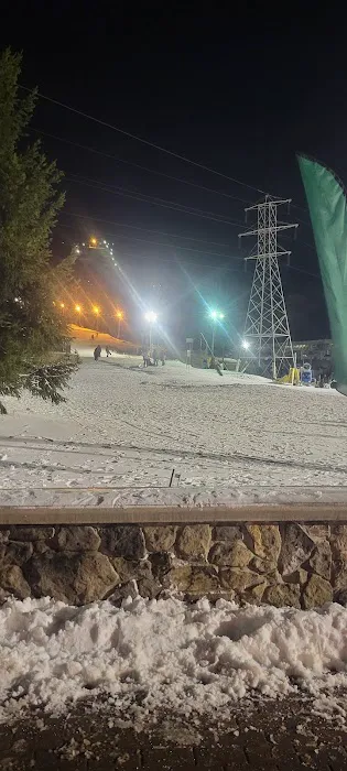 Red Tail Lodge Picture 5