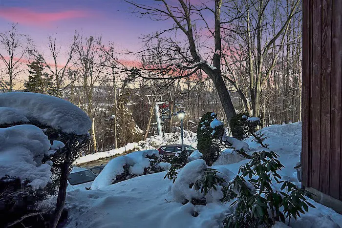 Skylift Lodge Mountain Creek Vernon Airbnb Picture 3