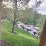 Condos At The Creek