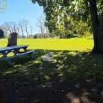 Pavilion at Town Park