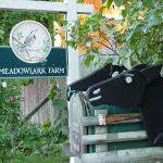 Meadowlark Farm Bed and Breakfast Warwick NY