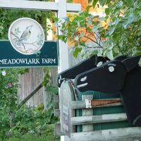 Meadowlark Farm Bed and Breakfast Warwick NY ico