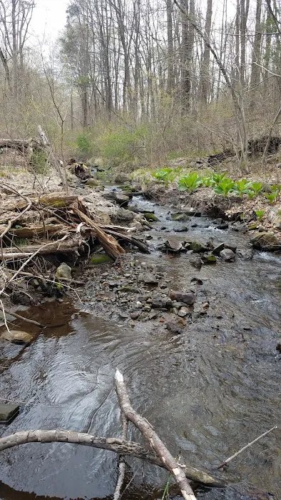 Janet Van Gelder Wildlife Sanctuary Picture 7