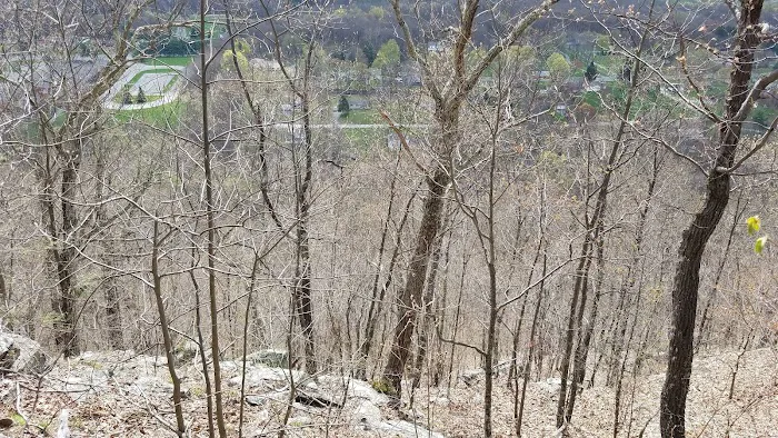 Janet Van Gelder Wildlife Sanctuary Picture 3