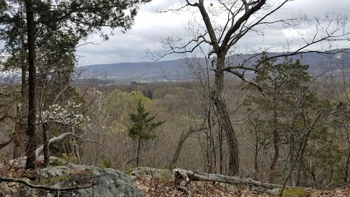 Janet Van Gelder Wildlife Sanctuary Picture 5