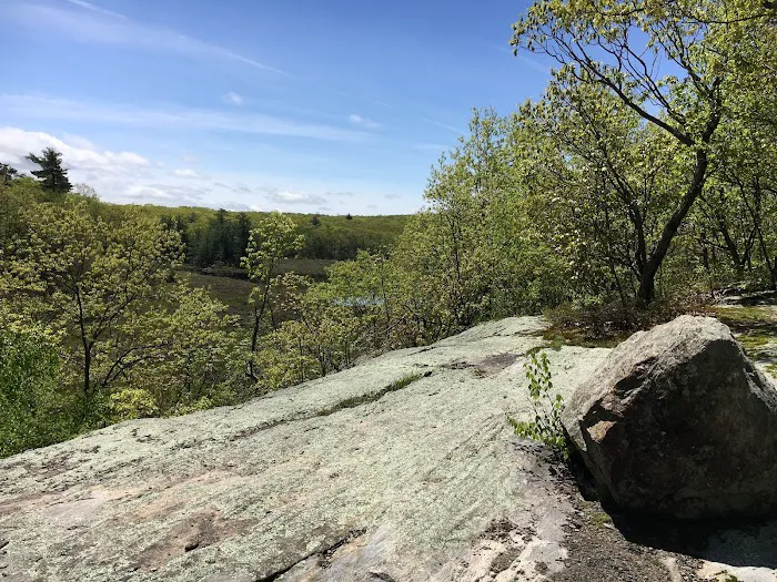 WMA Look Out Point Picture 10