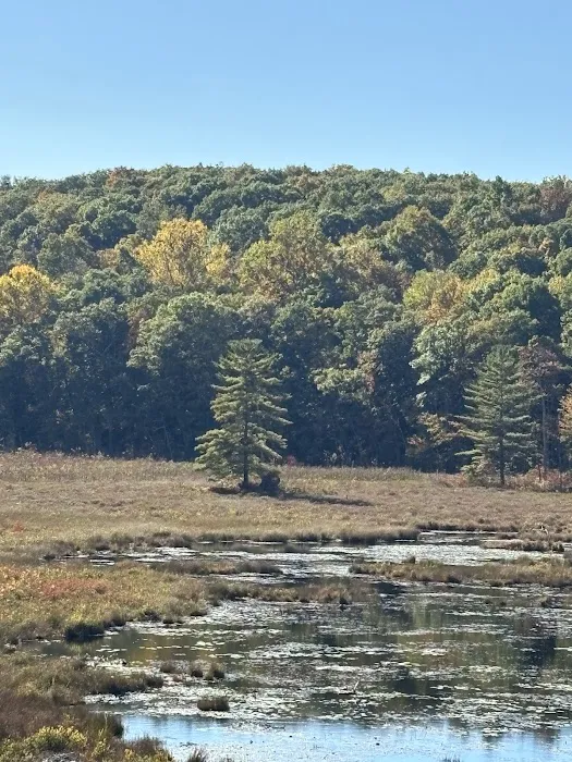 WMA Look Out Point Picture 1