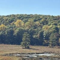 WMA Look Out Point ico