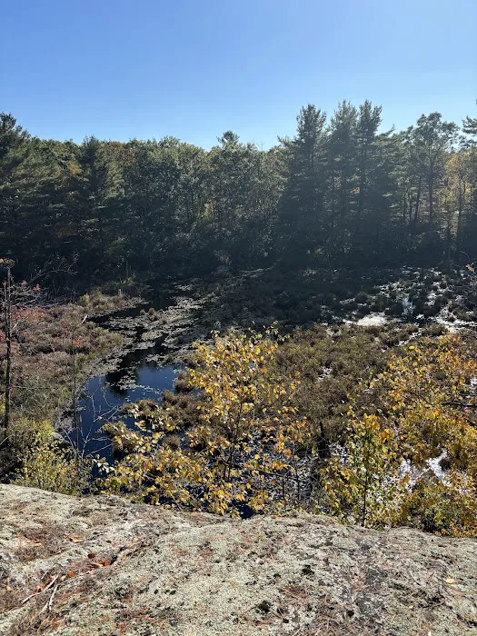 WMA Look Out Point Picture 7