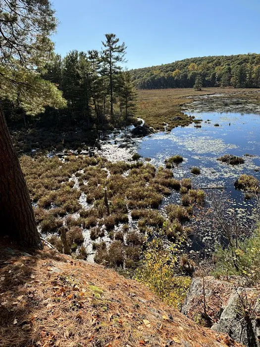 WMA Look Out Point Picture 6