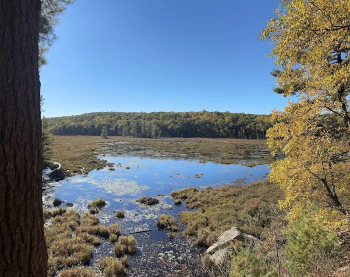 WMA Look Out Point Picture 4